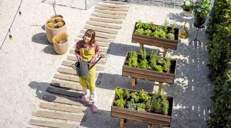 Wykorzystanie roślin do zapełniania wolnych przestrzeni w konstrukcjach miejskich