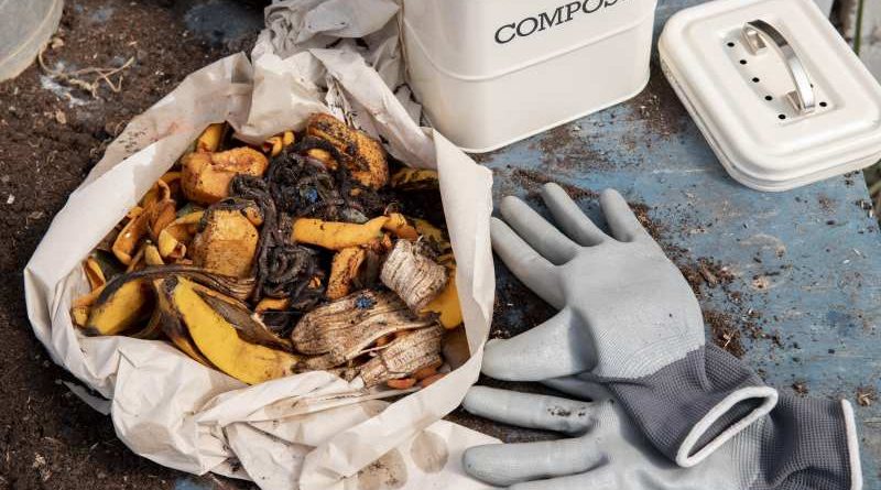 Można zastąpić kompost torfem jako naturalny nawóz?