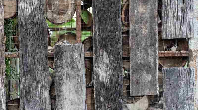Jak zdobyć stare drewno do remontu domu i jak je wykorzystać?