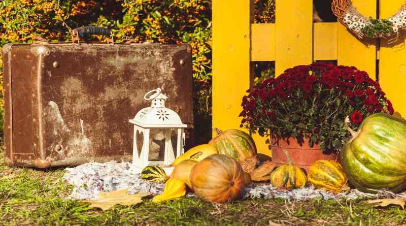 15 Inspirujących Pomysłów na Dekoracje Z Dyni do Jesiennych Aranżacji Na Balkonie, Tarasie i W Ogrodzie